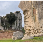P1014731