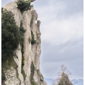 P1014764