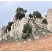 P1014774