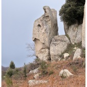 P1014778