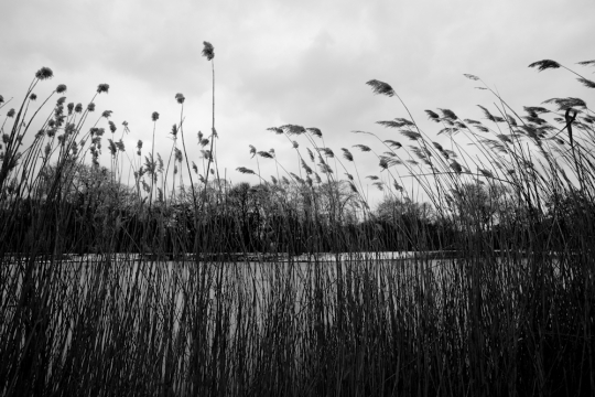 mg_1809