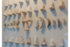 P1042057