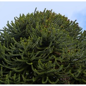 P1037797