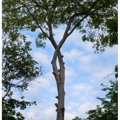 P1037900
