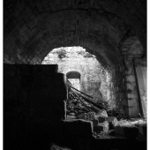 _MG_7572-Edit