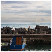 Scambio_Generazionale_Davide_Moltisanti