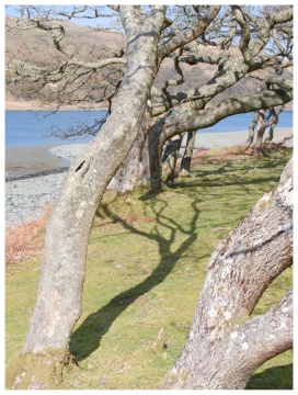 P1163695