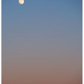 P1014444