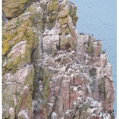 P1096332