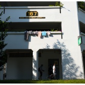 P1014052