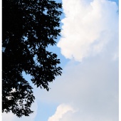 P1014112