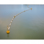 IMG_5197