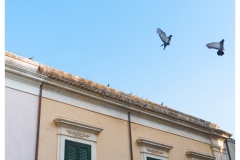 P1031250
