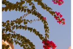P1031642