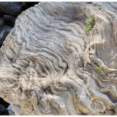 P1141180
