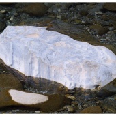 P1141186